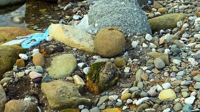Shallow River with Plastic Waste Amongst Rocks and Flowing Water