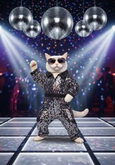 White Cat wearing disco costume and sunglasses dancing under mirror balls in nightclub interior. Disco music and nightlife entertainment concept
