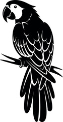 Obraz premium Vector silhouette of a tropical parrot macaw bird perched on a branch isolated on white background for nature wildlife pet shop and exotic animal conservation design