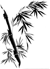 Obraz premium Bamboo of leaves elements in Chinese painting vector. Hand drawn natural with brushstroke in Traditional style.
