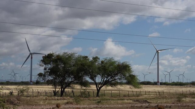 wind turbines farm and dragonfly