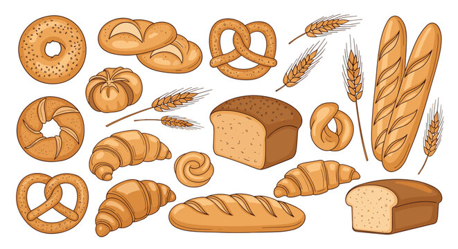 Delicious variety of illustrated baked goods including bread loaves croissants and pretzels alongside fresh wheat stalks for food graphics.