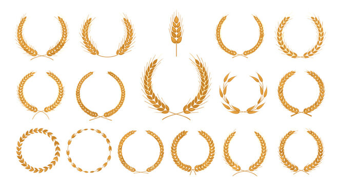 Golden set of wheat wreaths and single ears for agricultural businesses, bakery packaging, and harvest symbols.