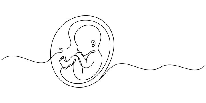 Baby embryo in womb one line drawing. Cute unborn fetus baby on mother womb isolated on white background, Baby embryo in womb in one continuous line drawing. Healthy pregnancy and premature symbol.