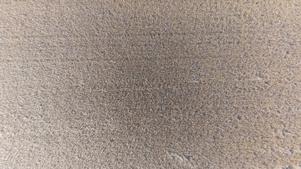 sand texture background