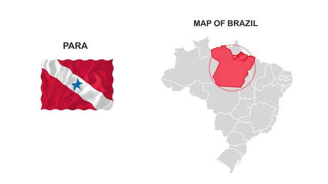 Para Map abstract animated video footage with smooth motion background for modern digital design, presentations, advertising visuals and creative medi