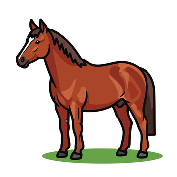 A brown horse with a darker mane and tail