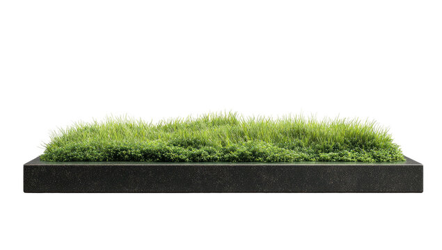 A rectangular planter overflowing with green vegetation against a stark black background