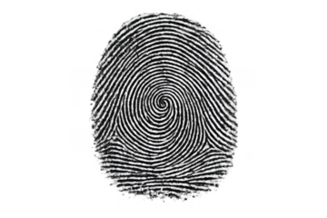 Fingerprint showing a unique whorl pattern, representing biometric identity, digital security, authentication, and forensic analysis