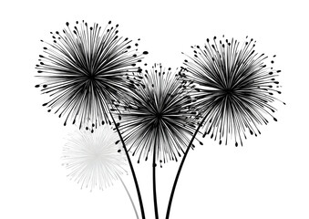 Monochrome fireworks display against a black background