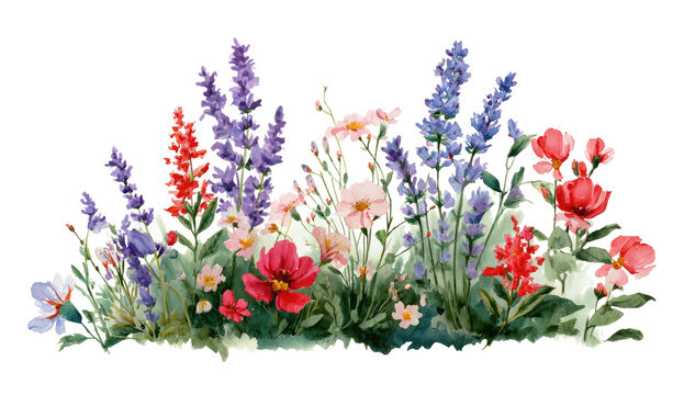 A vibrant watercolor painting of various colorful wildflowers in full bloom