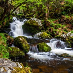 Fototapeta premium A stunning landscape depicts a cascading waterfall flowing through a lush green forest, showcasing the beauty of nature