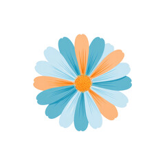 Colorful daisy with alternating blue and peach petals, orange center, black background