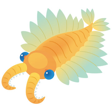 Anomalocaris