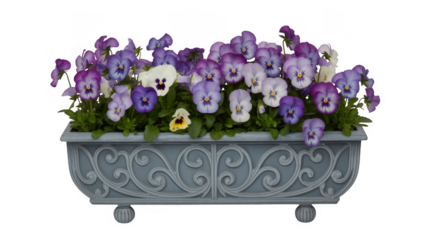 Purple and white flowers in planter purple flowers isolated on a transparent background