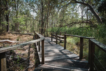 The photo was taken in the morning of December 2025 at the Australian Botanic Garden Mount Annan , showing people enjoying outdoor activities and leisure time.