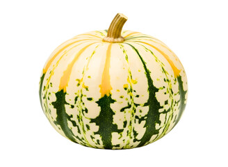 Striped squash isolated on white isolated on transparent background
