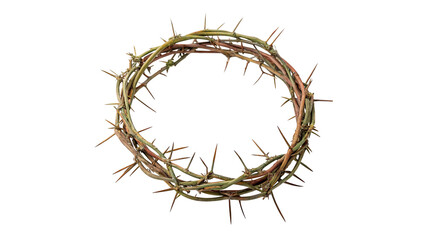 Fototapeta premium A round crown made of thorns isolated on transparent background cut out