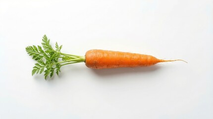 Single orange carrot with green top