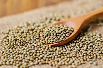 Hemp seeds in a wooden spoon on a textured burlap background, showcasing plant-based omega superfood in a macro close-up view for healthy lifestyle