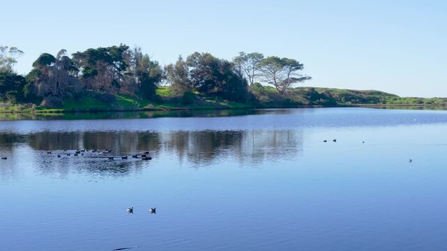 A lagoon at University of Santa Barbara