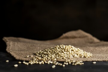 Hemp seeds displayed on burlap fabric, showcasing their plant-based omega superfood qualities under soft studio lighting with copy space