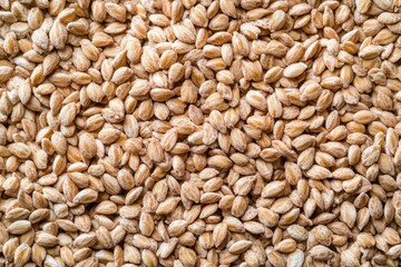 Fototapeta premium Whole grain cereal texture featuring natural rough surface, showcasing healthy grains in a vibrant and appealing arrangement for culinary use