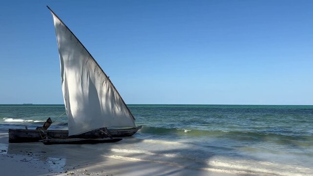 Zanzibar beach with a traditional dhow sailboat in shallow sea water. Tanzania.