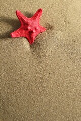 Bright Red Starfish on Sandy Beach, Coastal Decor with Copy Space. Theme for Summer Vacation Concept