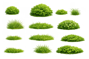 Green grass and realistic bushes collection on transparent background, individual foliage elements for garden design