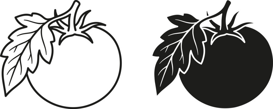 Tomato line art and black silhouette icon set minimalist vegetable illustration for food logo packaging design