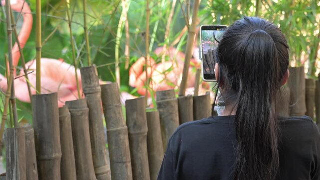 Latina girl at the zoo recording video of flamingos with her cell phone
