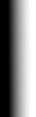 Fototapeta premium Gradient black fadde on transparent background