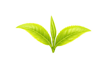 Obraz premium Green tea leaves growing, symbolizing freshness, natural vitality, and organic health for beverages and herbal products