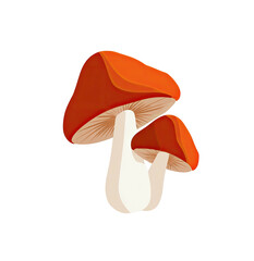 Isolated illustration featuring two cartoon mushrooms with reddish-brown caps and white stems