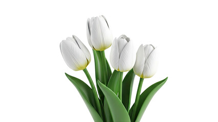 White Tulips with Green Stems and Leaves on White Background