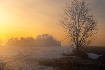 Winterlandschaft im Sonnenaufgang Harz