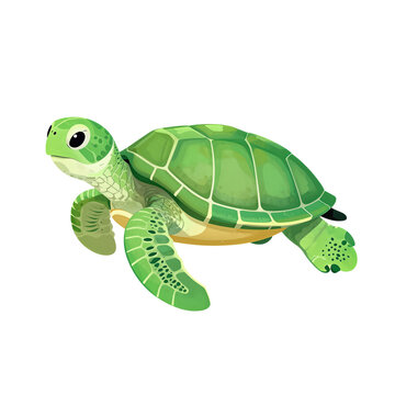 Cute Cartoon Green Sea Turtle Swimming