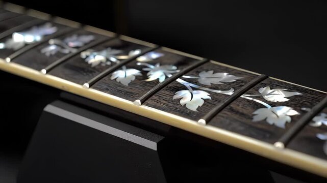 Close-up of a guitar fretboard with intricate leaf inlays.