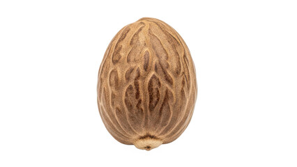 Fototapeta premium A detailed studio shot of a single whole nutmeg seed on a solid black background isolated on transparent background, illustration