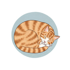 Calm sleeping tabby cat curled up isolated on a transparent background