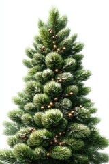 Obraz premium Tall green Christmas tree with full branches and small ornaments isolated on white background for holiday decor