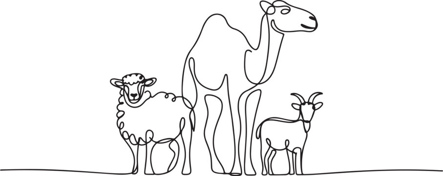 One continuous line drawing of sheep, camel and goat. Muslim holiday the sacrifice an animal to God, Eid al Adha greeting card concept. one line Icon drawing