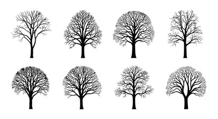A collection of silhouetted trees with varying shapes and branch patterns