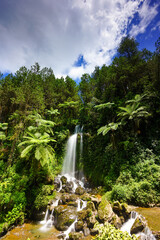 Obraz premium A serene waterfall cascading down rocky terrain surrounded by lush greenery and trees in a forest landscape viewed from a distance