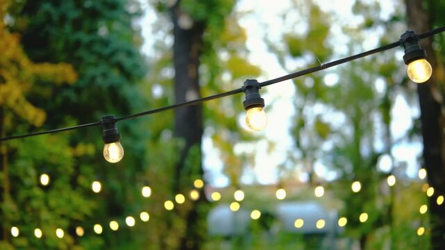 Outdoor string lights glow softly in a green garden setting during the day