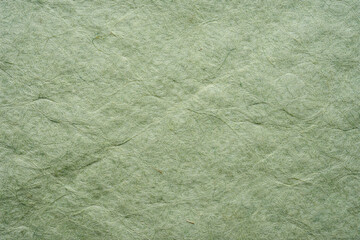 Abstract Green Handmade paper texture background