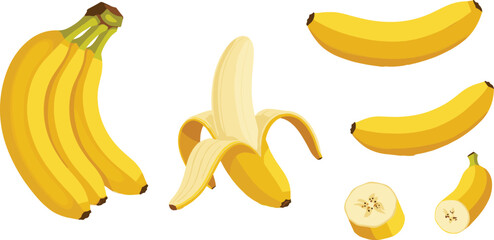 Banana fruit vector set with whole peeled sliced bananas fresh yellow tropical food illustration isolated © MstMukta