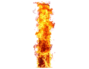 Untitled design - Blazing Vertical Fire Flames, Realistic Burning Effect, Isolated on White Background (2)