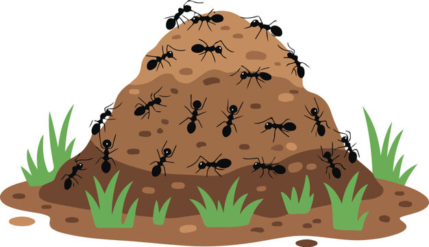 Ant Hill Outline Illustration Set  Crawling Ants, Soil, and Grass Habitat